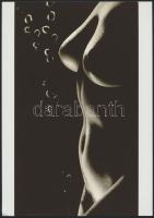 cca 1973 A vetkőztető objektív mindenhatósága, 3 db szolidan erotikus fotó, vintage negatívokról kés...