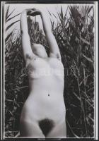 cca 1975 Követő üzemmódban, 3 db szolidan erotikus fotó, vintage negatívokról készült mai nagyítások...