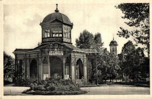 5 db régi városképes lap, 4 felvidéki és 1 cseh, Ceske Budejovice, Lublófürdő, Bártfafürdő, Beszterc...