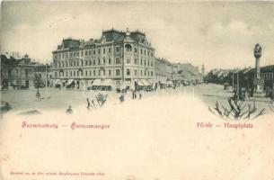 Szombathely, Steinamanger; Fő tér, Szentháromság szobor / Hauptplatz (Rb)