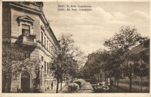 3 db régi történelmi magyar (erdélyi és felvidéki) városképes lap, Kicői (Szkicói) várkastély, hadik...