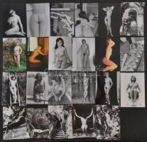 cca 1976 Lakásban, műteremben és szabadban készült szolidan erotikus felvételek, 55 db mai nagyítás ...