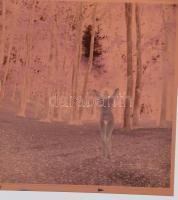 cca 1982 Színes, vintage negatívok tétele, 13 db szolidan erotikus felvétel, 6x6 cm