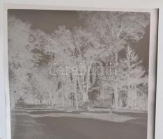 cca 1968 Kecskemét fejlődése, változása, 13 db szabadon felhasználható, vintage negatív Medgyesi Lás...