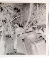 cca 1965 Zsidó temető és zsinagóga belső, 5 db szabadon felhasználható, vintage negatív Kotnyek Anta...