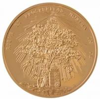 DN "Magyar Aranyóriások - V. Ferdinánd koronázási érem, 15 Dukát 1830" aranyozott Cu utánv...