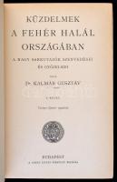 Dr. Kalmár Gusztáv: Küzdelmek a fehér halál országában I. kötet. A nagy sarkutatók szenvedései és gy...