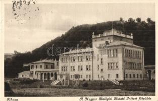 Tihany - 4 db régi városképes lap, vegyes minőség / 4 pre-1945 town-view postcards, mixed quality