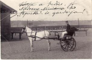5 db régi ló motívumlap, lovaglás, lovas hintó, 2 régi fotóval / 5 pre-1945 horse motive cards, chariot, riding school, 2 photos
