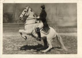 5 db régi ló motívumlap, lovaglás, lovas hintó, 2 régi fotóval / 5 pre-1945 horse motive cards, char...