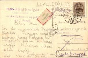 Budapest III. Római fürdő, a Budapesti Budai Torna Egylet (BBTE) evezős szakosztály klubháza, segély...