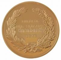 DN "Magyar Aranyóriások - V. Ferdinánd, érdemérem József nádornak 1846" aranyozott Cu után...