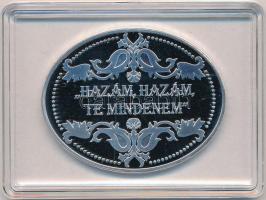 DN "Hazám, hazám, te mindenem / Legendás épületek - Petőfi Sándor / Magyar Nemzeti Múzeum"...