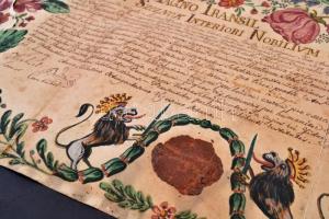 1828 Sebész orvos, kirurgus szabaduló levele. Dési sebész céh kézzel rajzolt oklevele, rajzolt város...