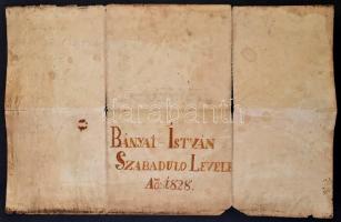 1828 Sebész orvos, kirurgus szabaduló levele. Dési sebész céh kézzel rajzolt oklevele, rajzolt város...