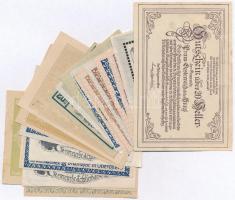 Ausztria ~1920. 10h-50h (22x)  utalvány és szükségpénz, többek között Schlierbach, Mühldorf és Stein...