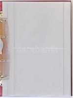 Bankjegytartó gyűrűs album összesen 28 férőhellyel. Használt, de jó állapotban