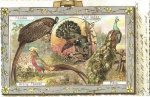 13 db VEGYES állatos motívumlap / 13 mixed animal motive postcards