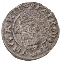 1556K-B Denár Ag I. Ferdinánd előlapi duplaveret (0,53g) T:2 Huszár 935.,Unger II.: 745.a.