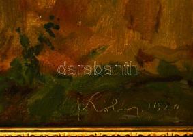 Kóbor Henrik (1885-1964): Pincekapu. Olaj, vászon, jelzett, keretben, 50×40 cm