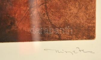 Kiss Péter (1957-): Siketfajd. Színes rézkarc, papír, jelzett, üvegezett keretben, 34×29 cm