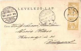 1900 Anina, Stájerlakanina, Steierdorf; Krassovai árusok csoportképe, folklór / Vendors from Carasov...