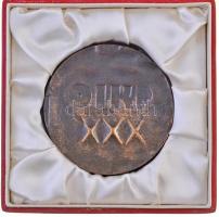 1981. "Emlékérem a Lengyel Kultúra 30 éves évfordulója alkalmából" Br emlékplakett eredeti...