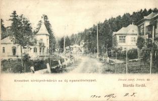 Bártfafürdő, Bardejovské Kúpele, Bardiov; Erzsébet királyné körút, Új nyaralótelep. Divald Adolf 40 / street view with villas