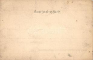 1901  Radstadt, photo