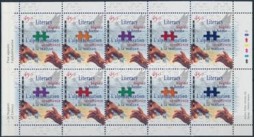 Illiteracy campaign stamp-booklet, Analfabetizmus elleni kampány bélyegfüzet