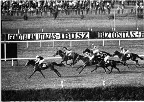 Budapest X. Kincsem Park, Galopp lóversenypálya - 2 db MODERN képeslap / 2 MODERN postcards