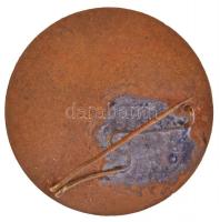 ~1950. "A Vegyipar Kiváló Dolgozója" zománcozott kitüntetés T:2