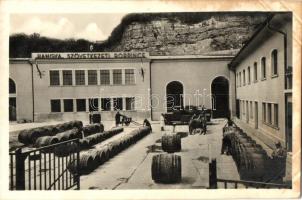 3 db RÉGI magyar városképes lap, Hangya fogy. szövetkezeti üzletek: Pilismarót, Budafoki borpincésze...