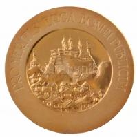 Lugossy László (1944-) DN "Sigillum Civitatis Vesprimiensis (Veszprém város címere) / Pro Merit...