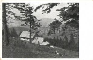 Kassa, Kosice - 3 db RÉGI városképes lap / 3 pre-1945 town-view postcards