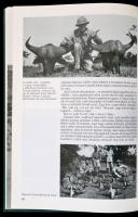 Széchényi Zsigmond: Vadászat négy földrészen. 1927-1964. Bp., 1987, Corvina. Kiadói kartonált papírk...