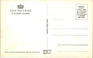 Budapest XIV. Állatkert, Pálmaház, Vastagbőrűek kertje, Krokodilusok terrariuma - 3 db régi képeslap...