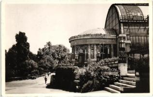 Budapest XIV. Állatkert, Pálmaház, Vastagbőrűek kertje, Krokodilusok terrariuma - 3 db régi képeslap...