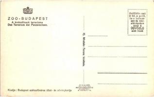 Budapest XIV. Állatkert, Pálmaház, Vastagbőrűek kertje, Krokodilusok terrariuma - 3 db régi képeslap...