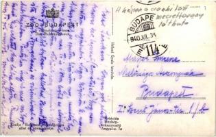 Budapest XIV. Állatkert, Pálmaház, Vastagbőrűek kertje, Krokodilusok terrariuma - 3 db régi képeslap...