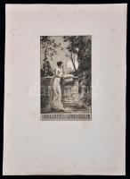 Ernst Krahl (1858-1926): Erotikus  ex libris, mélynyomás, papír, jelzett a nyomaton, 12×7 cm