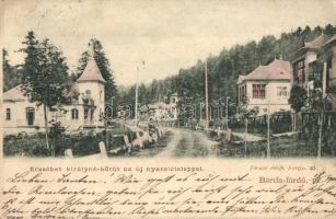 Bártfafürdő, Bardejovské Kúpele, Bardiov; Erzsébet királyné körút, Új nyaralótelep. Divald Adolf 40 / street view with villas
