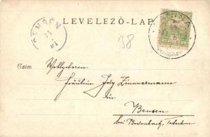 1900 Anina, Stájerlakanina, Steierdorf; vasúti alagút / railway tunnel, photo