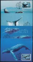 WWF Humpback whale 4 CM, WWF: Púpos bálna 4 db CM-en