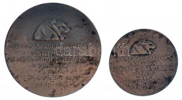 Murányi Gyula (1881-1920) 1915. A Krasniki diadalmas csatában az oroszoktól elvett ágyúból verette az Auguszta-Alap Fe emlékérem (2x) (29,5mm és 21,5mm) T:2 oxidáció / Hungary 1915. Commemorative Medal for the Victory at Krasnik Fe commemorative medallion (2x) Sign.: Gyula Murányi (29,5mm and 21,5mm) C:XF corrosion