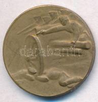 Osztrák-Magyar Monarchia 1915. "A Krasniki diadalmas csatában az oroszoktól elvett ágyúból vere...