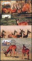 WWF: Puku mocsári antilop sor 4 db CM-en, WWF Puku antelope set 4 CM