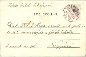 1899 Félixfürdő, Baile Felix; gyógyforrás / spa (vágott / cut)