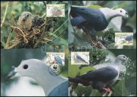 WWF Emperor pigeon cam set 4 CM, WWF Bütykös császárgalamb sor 4 CM