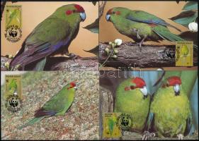 WWF Parrots set 4 CM, WWF: Papagáj sor 4 db CM-en